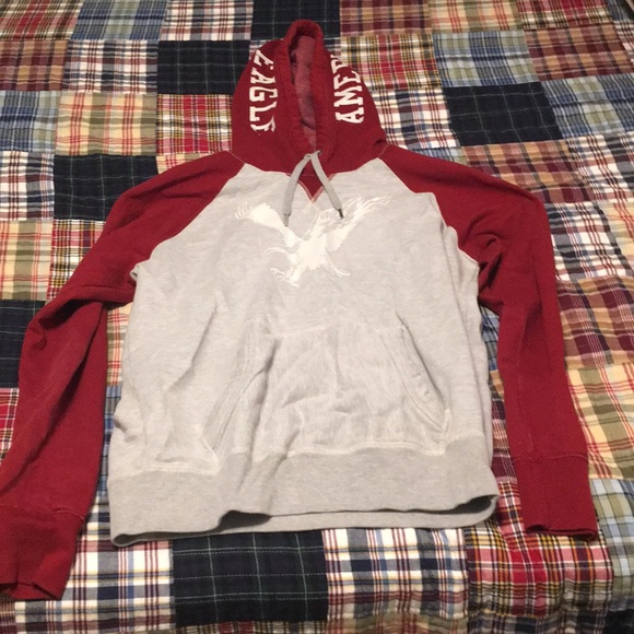 American Eagle Outfitters Other - American Eagle hoodie!